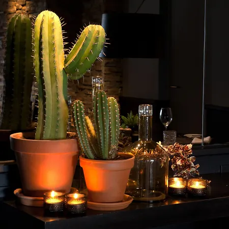 Hogerhuys - Adults Only Hotel