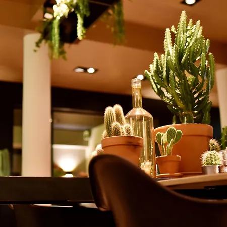 Hogerhuys - Adults Only 4*