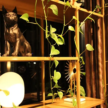 Hogerhuys - Adults Only