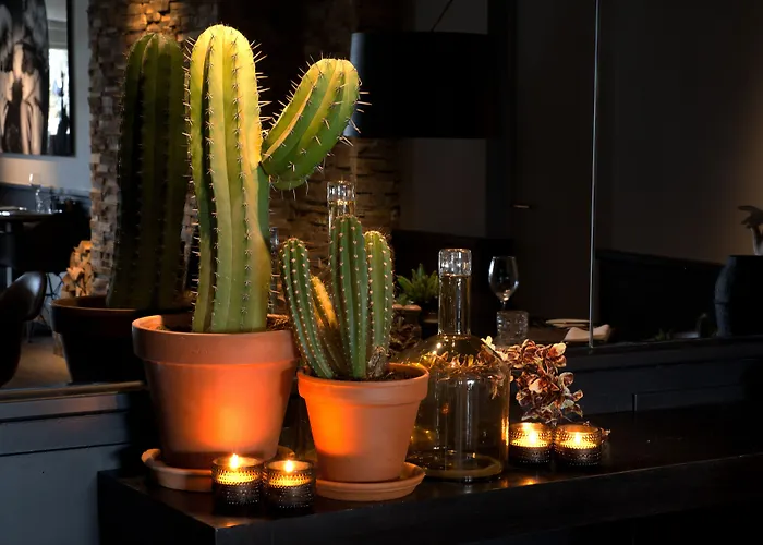 Hogerhuys - Adults Only Отель